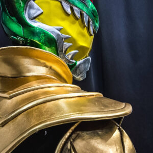 green dragon ranger custom costume 6