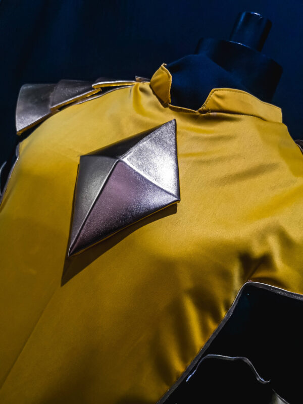 omega yellow ranger (5)